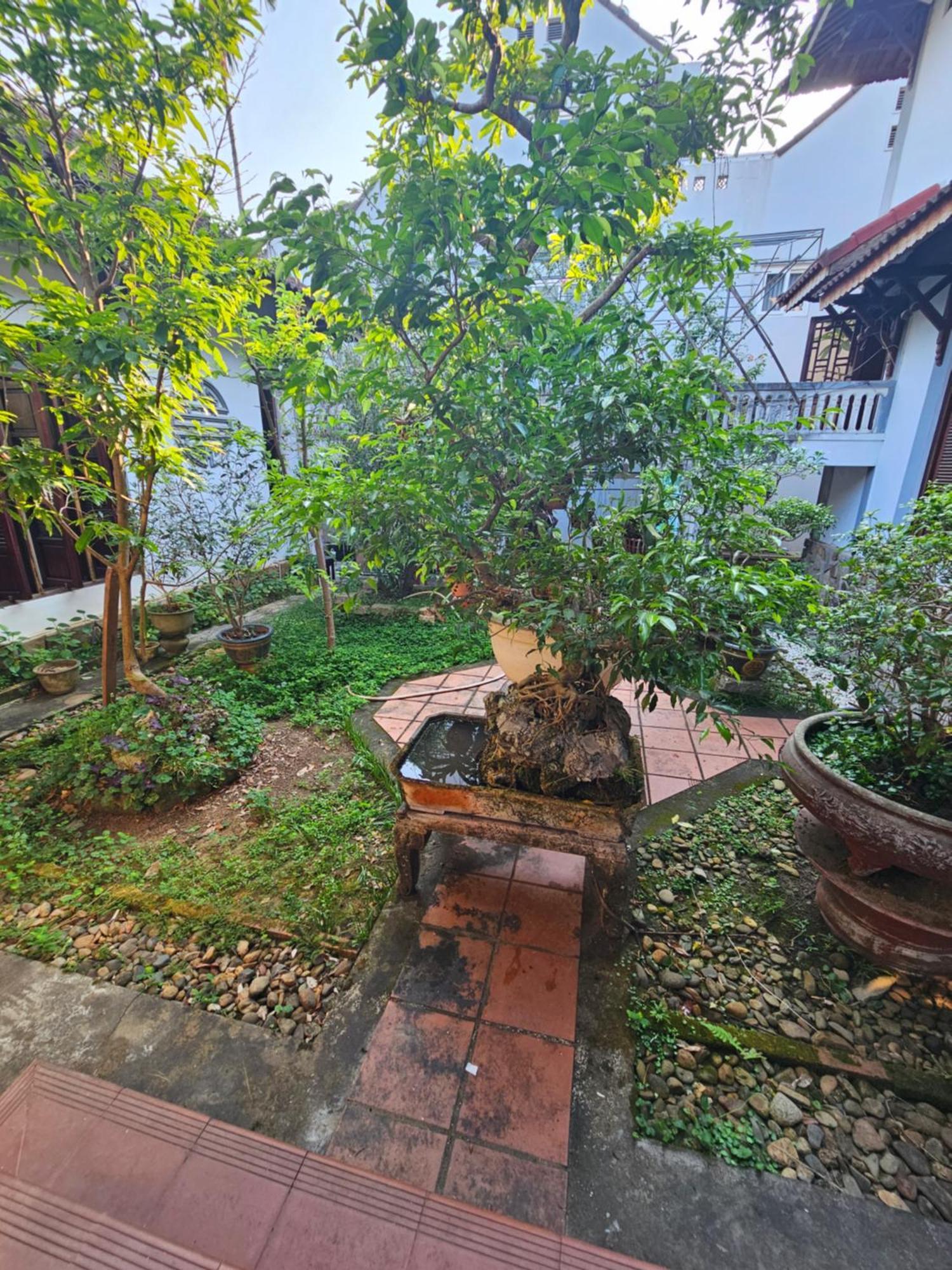 Homestay Rose Hue *